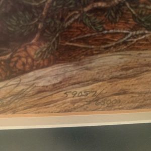 Bev Doolittle print “Prayer for the wild things” sign numbered print 59057/65000